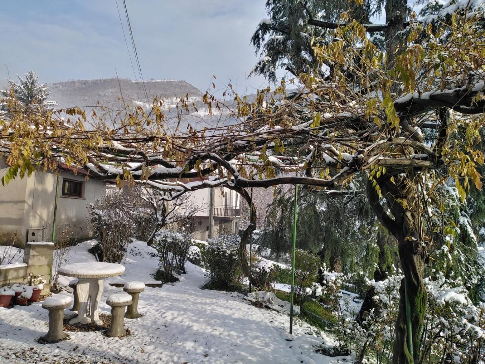 Roby'S House Casa Vacanze - Affiliato Best-Incoming Viadanica ภายนอก รูปภาพ